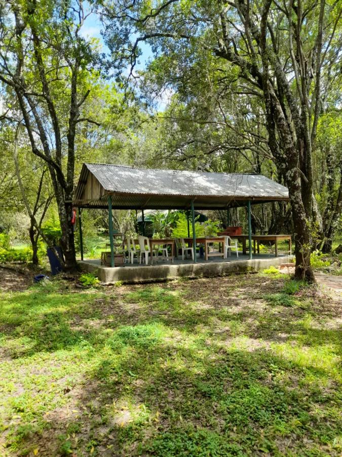 Leruk Maasai Mara Camp Hotell Sekenani Eksteriør bilde