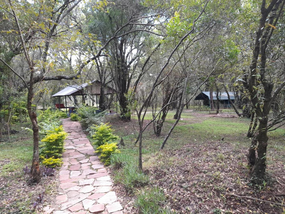 Leruk Maasai Mara Camp Hotell Sekenani Eksteriør bilde