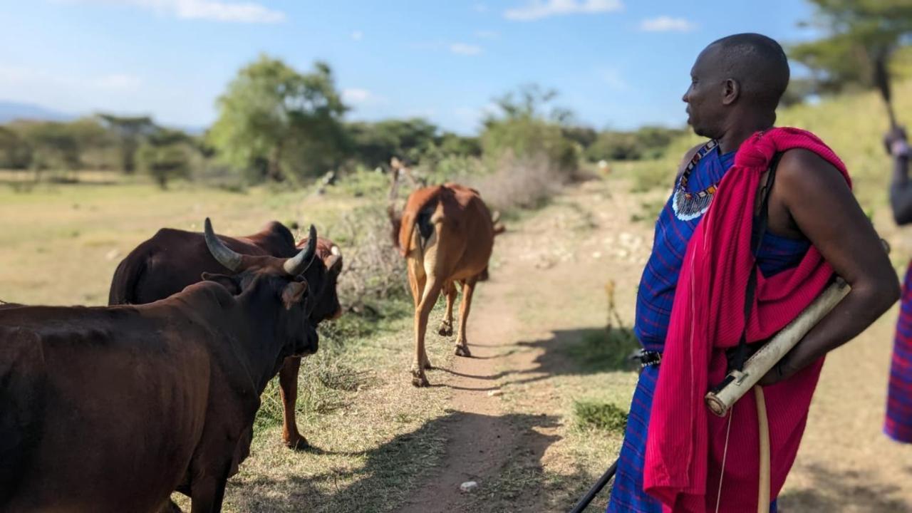 Leruk Maasai Mara Camp Hotell Sekenani Eksteriør bilde